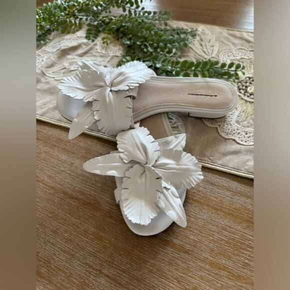 Anthropologie Cecelia New York Lila Slide Sandals Size 8 NWOT $179 - Picture 4 of 9